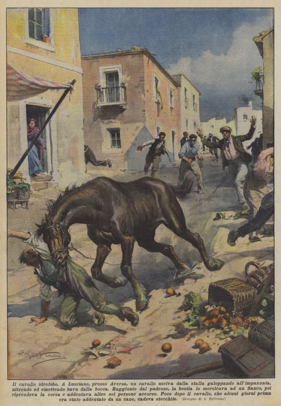 hidrofobik at by Achille Beltrame