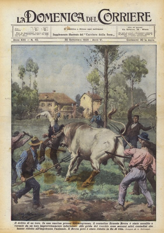 Bir boğanın öldürülmesi by Achille Beltrame