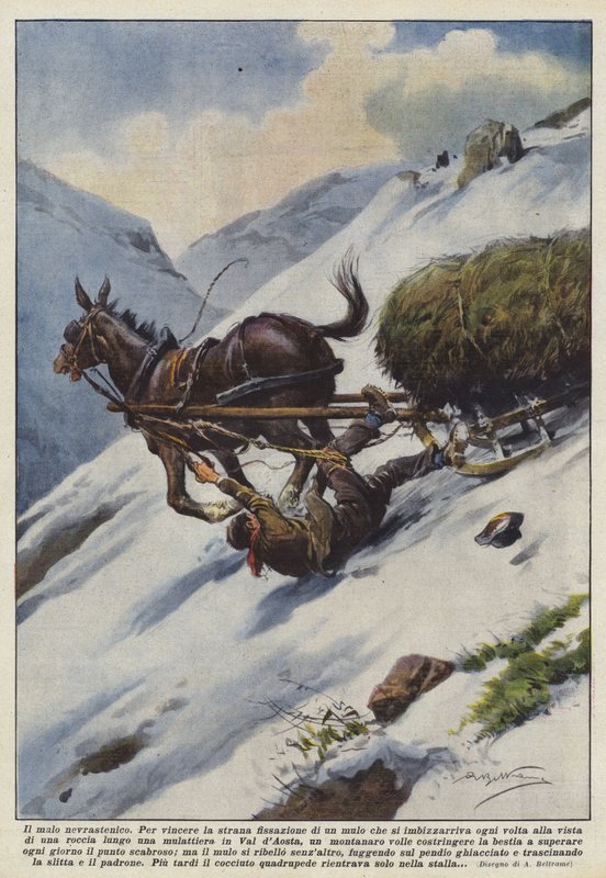 nevrastenik katır by Achille Beltrame