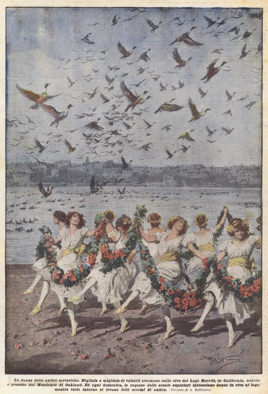 Yaban ördeklerinin dansı by Achille Beltrame