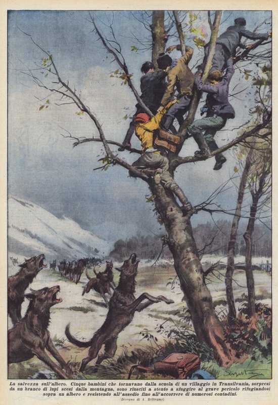 Ağaçta kurtuluş by Achille Beltrame