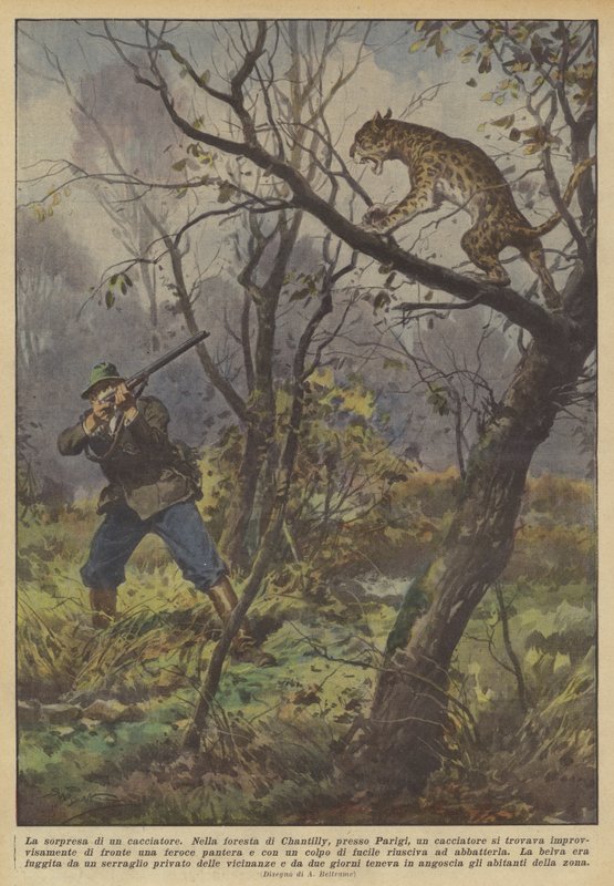 Bir avcının sürprizi by Achille Beltrame