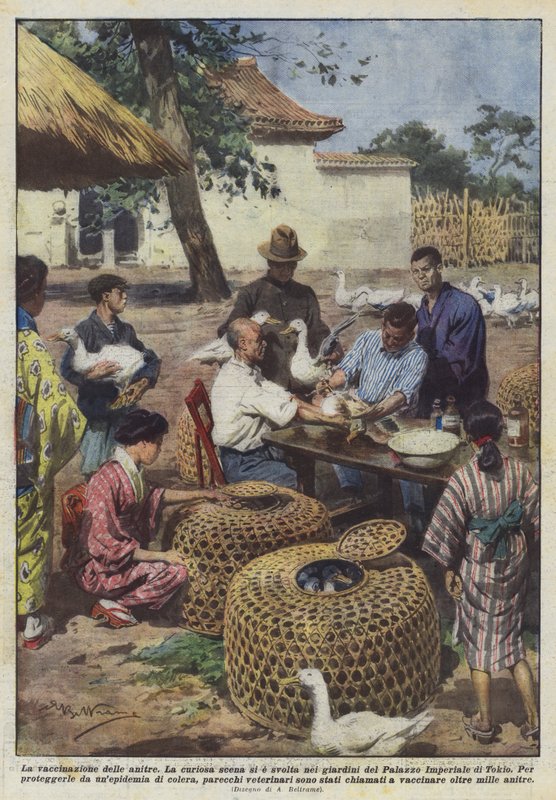 ördeklerin aşılanması by Achille Beltrame