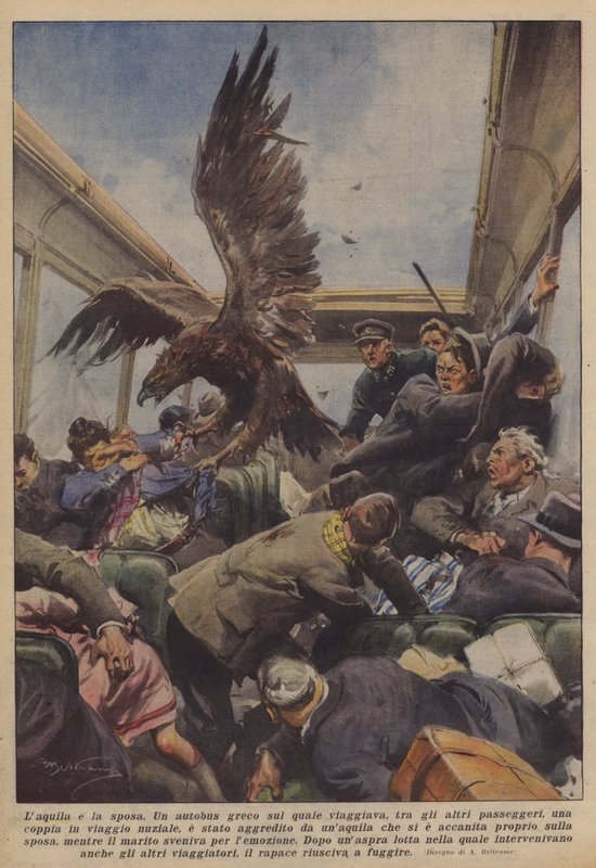 Laquila ve gelin by Achille Beltrame