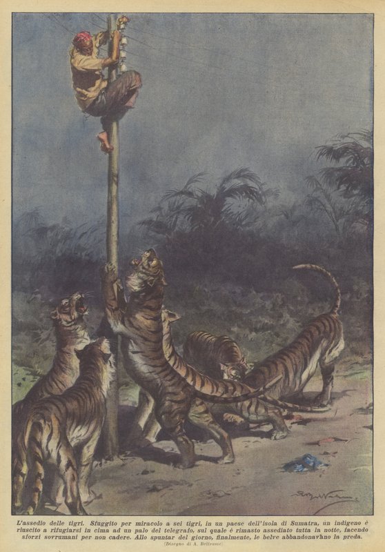 kaplanların kuşatması by Achille Beltrame