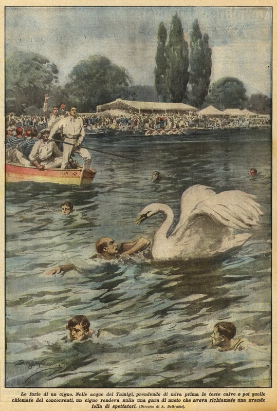 Bir kuğunun öfkesi by Achille Beltrame
