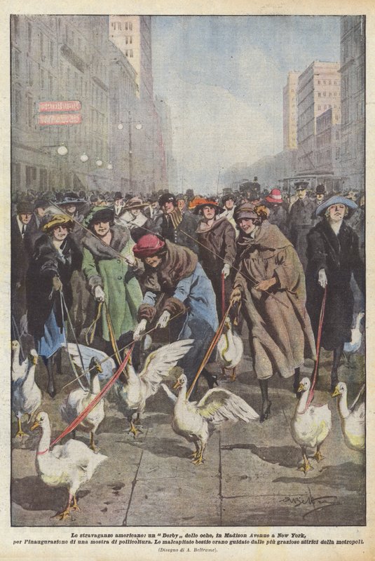 Amerikan savurganlıkları, New York