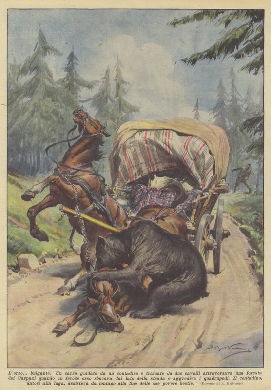 Ayı? haydut by Achille Beltrame