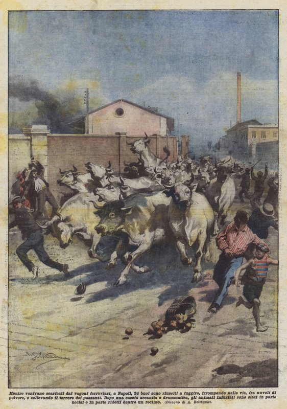 Napoli