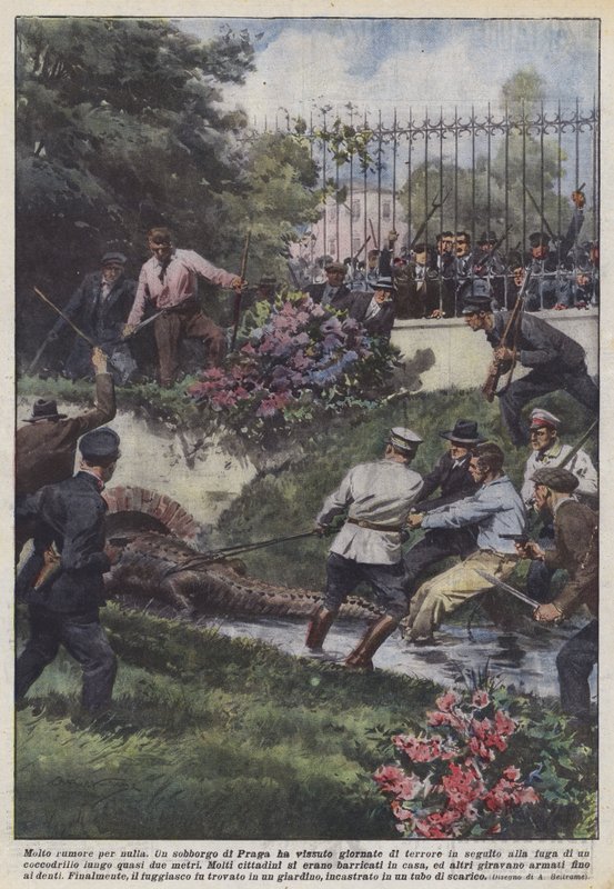 Boşuna patırtı by Achille Beltrame