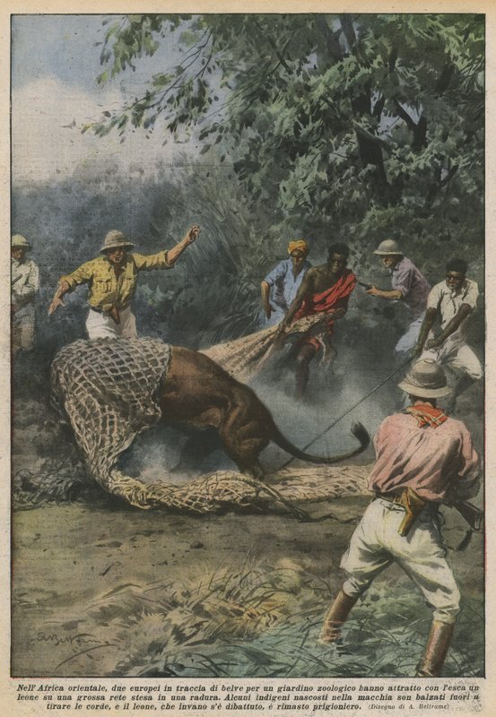 Doğu Afrika