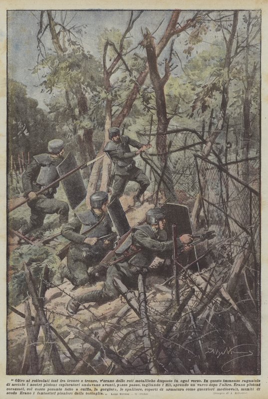 Gövde ve gövde arasına gerilmiş çitlere ek olarak, her yöne düzenlenmiş metal ağlar olacaktır. by Achille Beltrame
