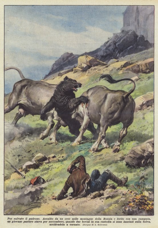 ustayı kurtarmak için by Achille Beltrame