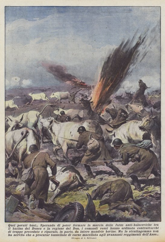 O zavallı öküzler by Achille Beltrame