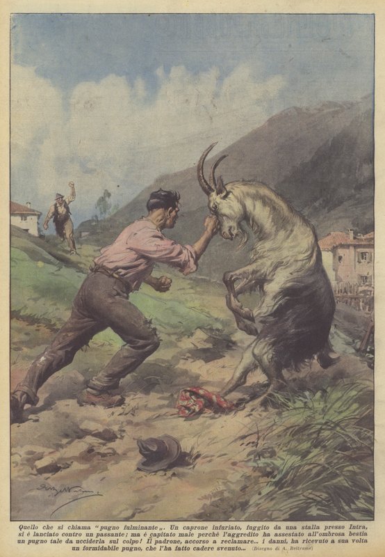 Yıldırım darbesi denilen şey by Achille Beltrame