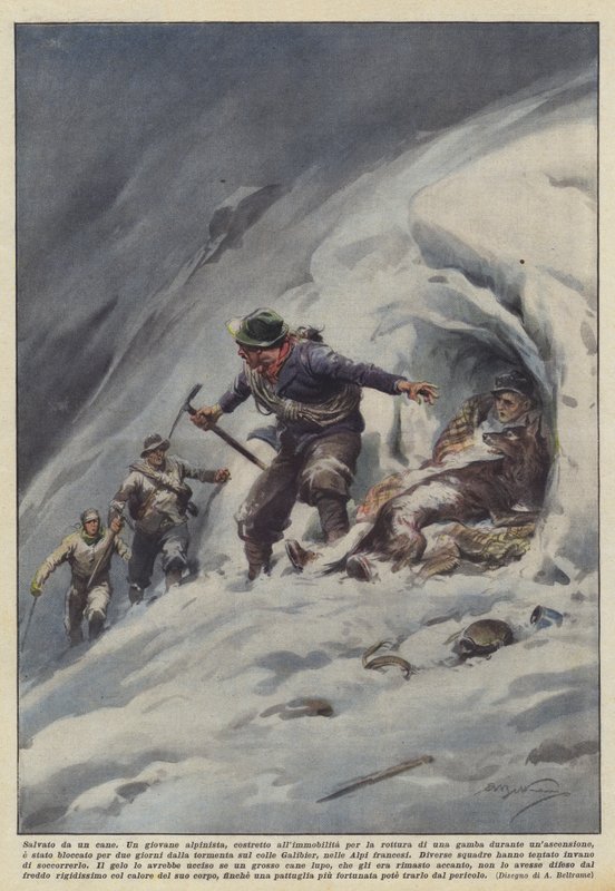 Bir köpek tarafından kurtarıldı by Achille Beltrame