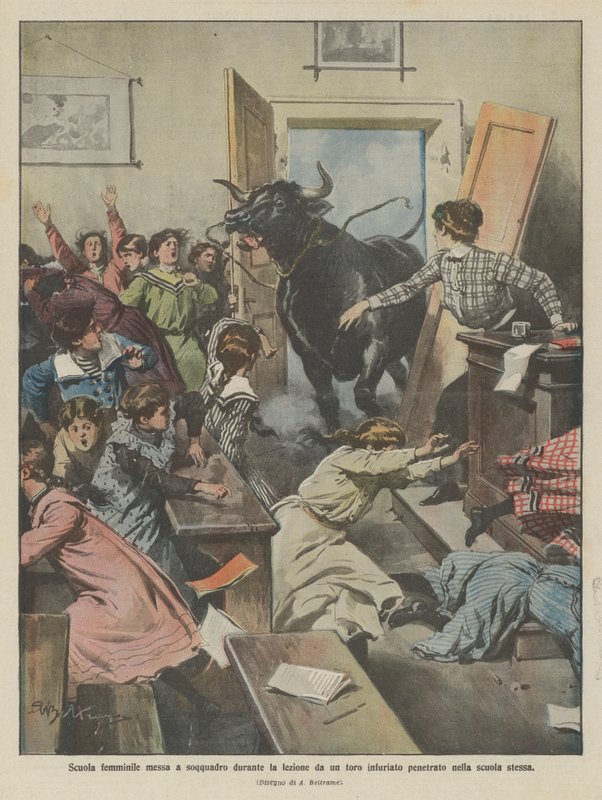 Kızların okulu, ders sırasında okula giren öfkeli bir boğa tarafından alt üst oldu by Achille Beltrame