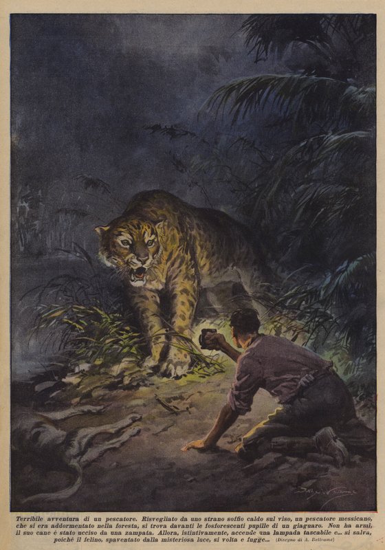 Bir balıkçının korkunç macerası by Achille Beltrame