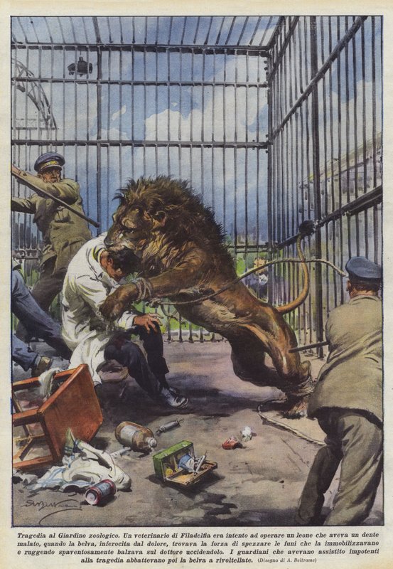 Hayvanat Bahçesinde Trajedi by Achille Beltrame