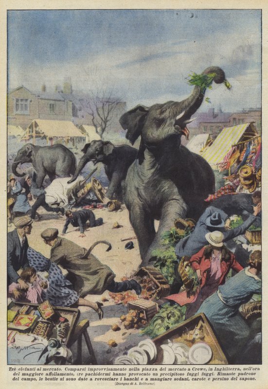 Pazarda üç filler by Achille Beltrame