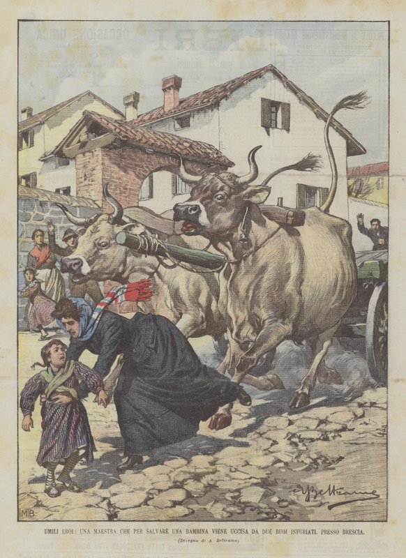 Mütevazı Kahramanlar, Küçük Bir Kızı Kurtaracak Bir Öğretmen, Brescia Yakınlarında Öfkeli İki Öküz Tarafından Öldürüldü by Achille Beltrame