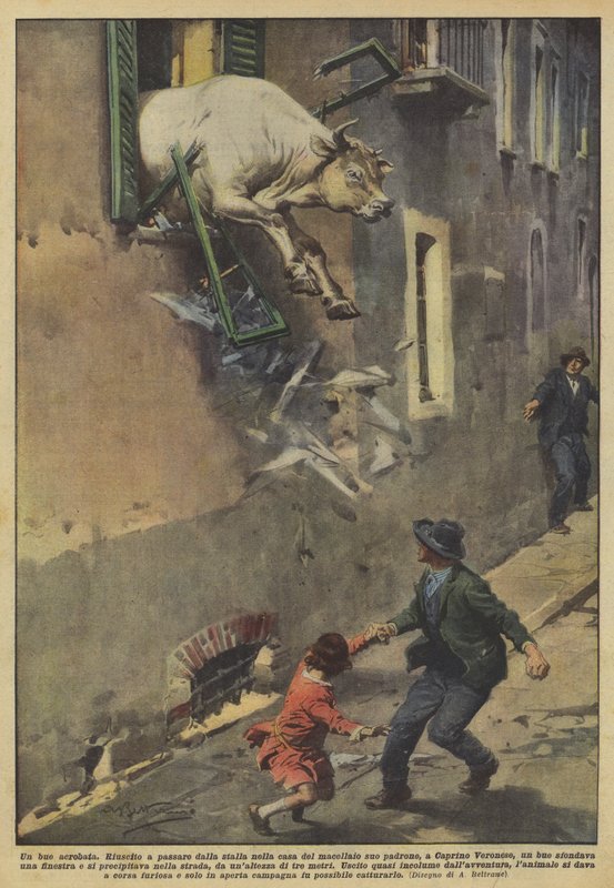 bir akrobat öküz by Achille Beltrame