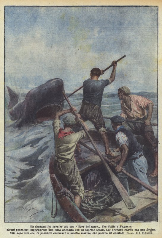 Bir deniz kaplanı ile dramatik bir yüzleşme by Achille Beltrame