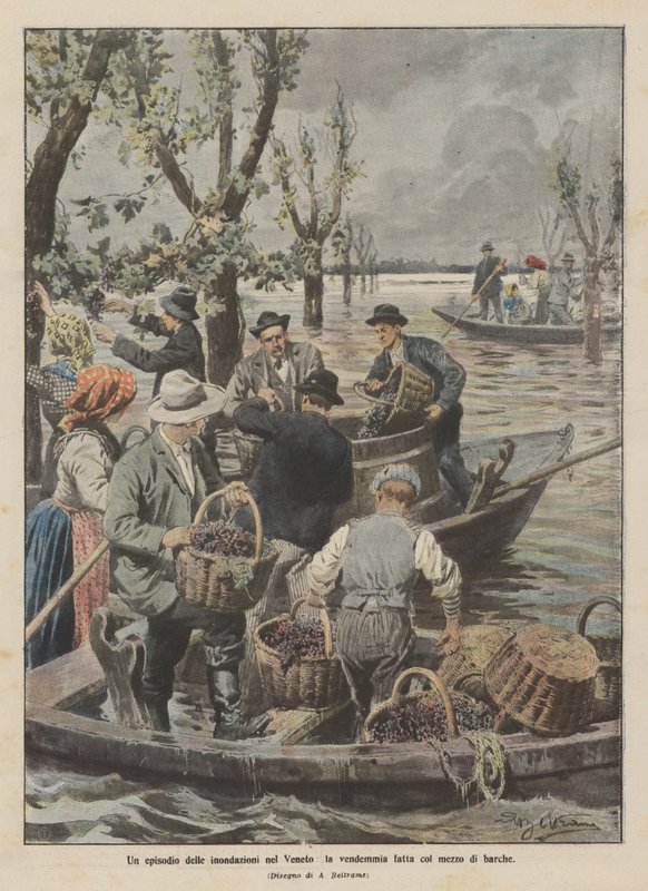 Veneto