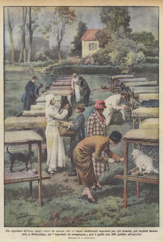 Diğerlerinden farklı bir hastane by Achille Beltrame
