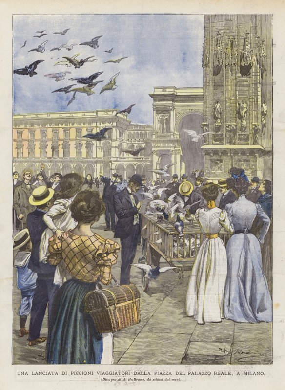 Milano
