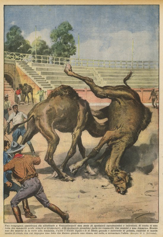 Bir Amerikan şirketi Konstantinopolis