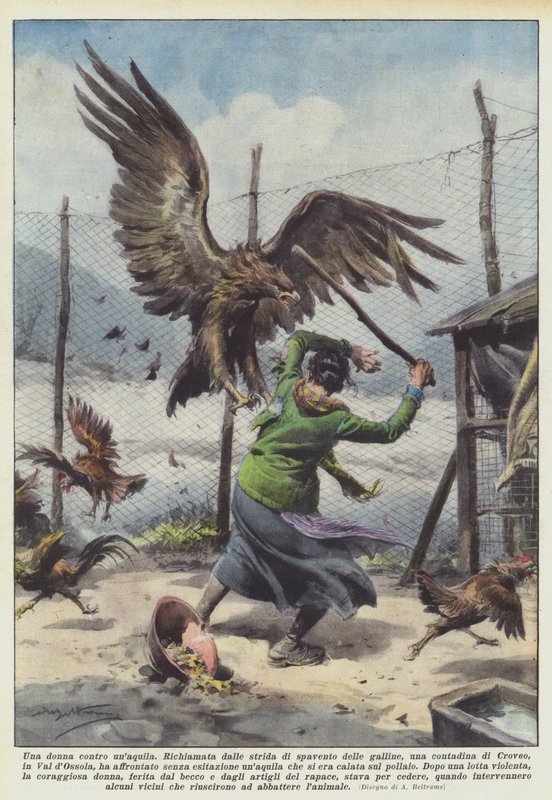 Bir kartala karşı bir kadın by Achille Beltrame