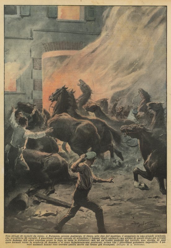 Bir yarış atı katliamı by Achille Beltrame