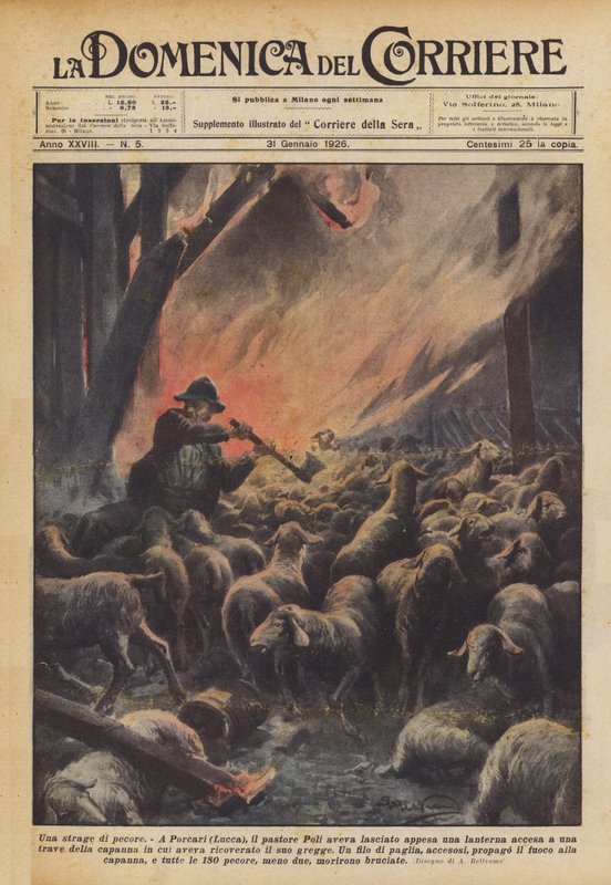 Bir koyun kesimi by Achille Beltrame