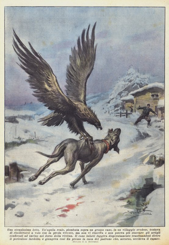çok garip bir kavga by Achille Beltrame