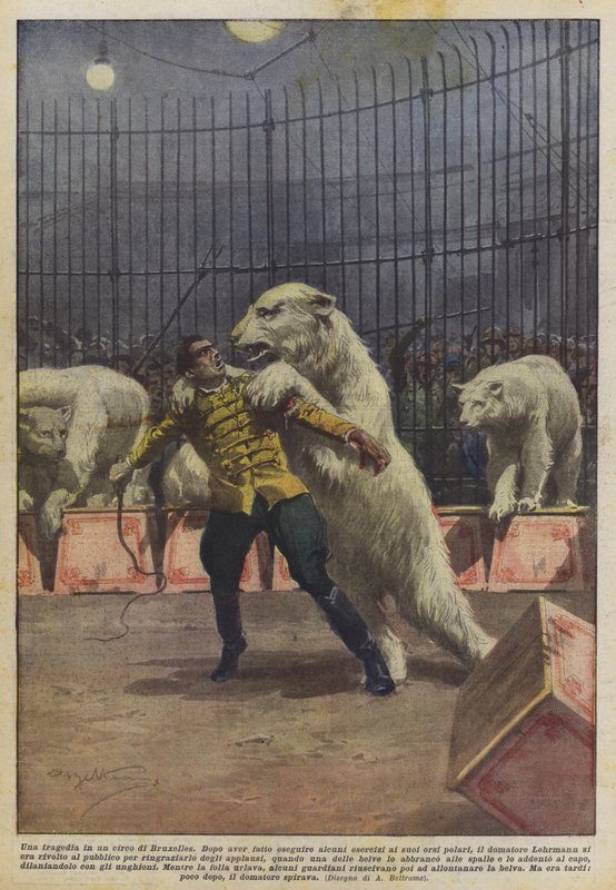 Brüksel sirkindeki bir trajedi by Achille Beltrame