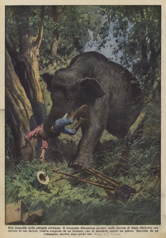 Afrika ormanlarında bir trajedi by Achille Beltrame