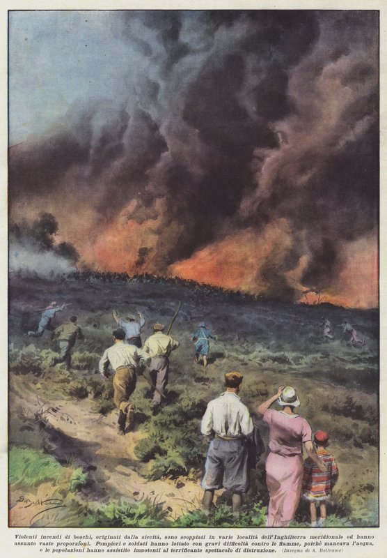 Kuraklıktan kaynaklanan şiddetli orman yangınları çeşitli yerlerde mi çıktı? by Achille Beltrame