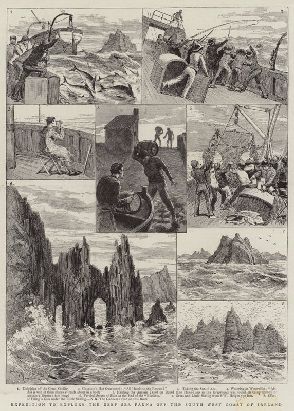 İrlanda'nın Güney Batı Kıyısındaki Derin Deniz Faunasını Keşfetme Seferi by Adrien Emmanuel Marie