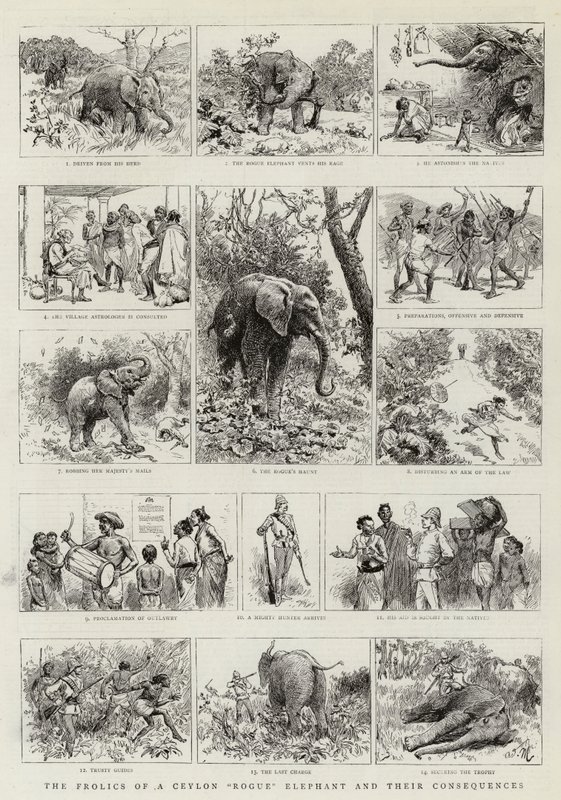 Bir Seylan Hileli Filin Eğlenceleri ve Sonuçları by Adrien Emmanuel Marie