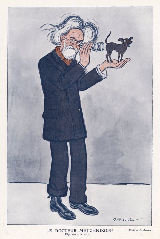 Elie Metchnikoff, Rus zoolog (renkli taş) by Adrien Barrere