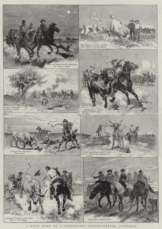 Queensland Sığır İstasyonunda Bir Günlük Çalışma, Avustralya by Adrien Emmanuel Marie