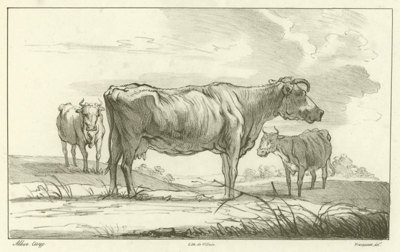 Hall, Ockwells, Berks rki by Aelbert Cuyp