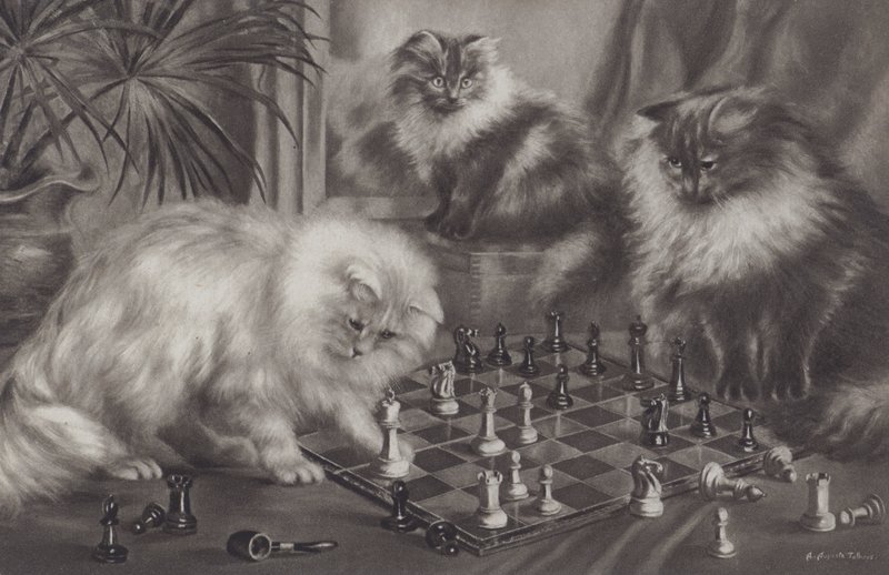 Satranç taşlarıyla oynayan kedi grubu by Agnes Augusta Talboys