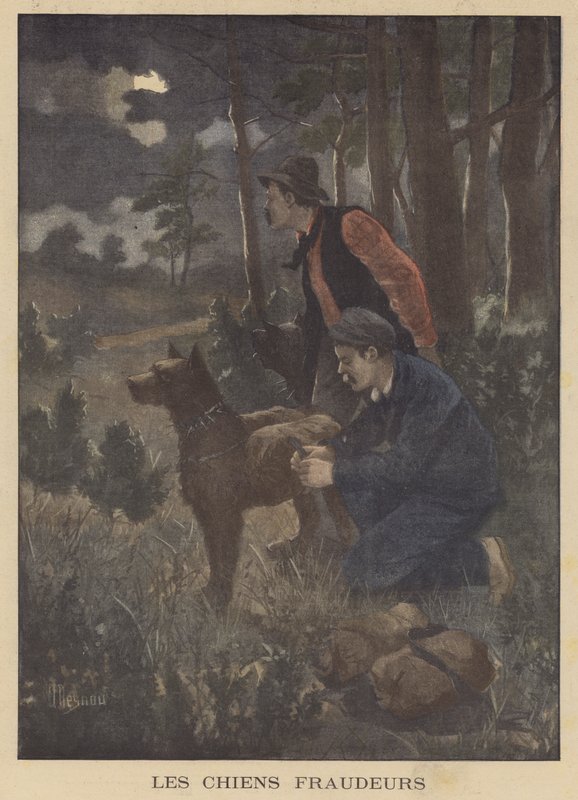 Kaçakçılar tarafından kontra markayı sınırdan geçirmek için kullanılan köpekler by Albert Besnou