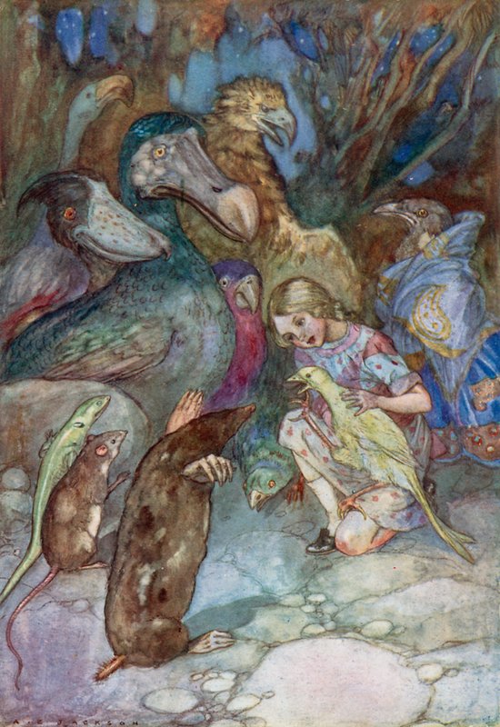 Alice Harikalar Diyarında için İllüstrasyon (renkli lito) by Albert Edward Jackson