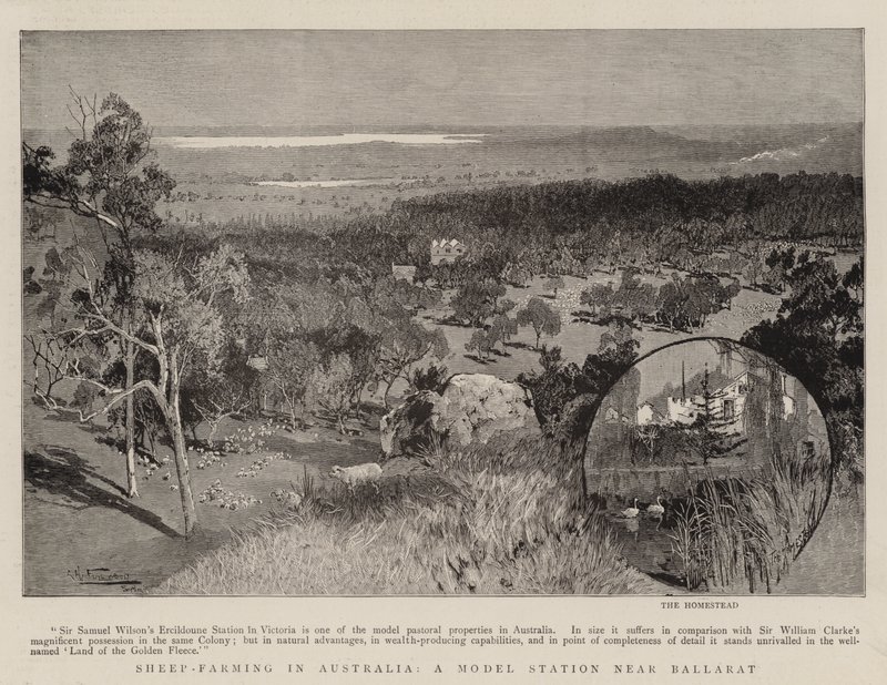 Avustralya'da Koyun Yetiştiriciliği, Ballarat yakınlarında bir Model İstasyon by Albert Henry Fullwood
