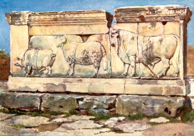 Marble relief of the Ambarvalia Sacrifice, in the Forum by Alberto Pisa