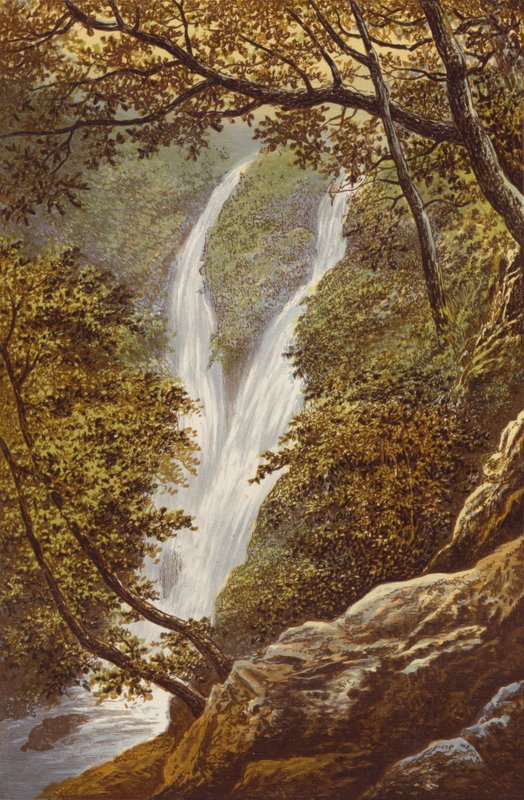 Stok Solungaç Gücü by Alexander Francis Lydon