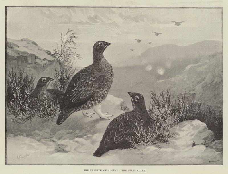 On İkinci Ağustos, İlk Alarm by Alexander Francis Lydon